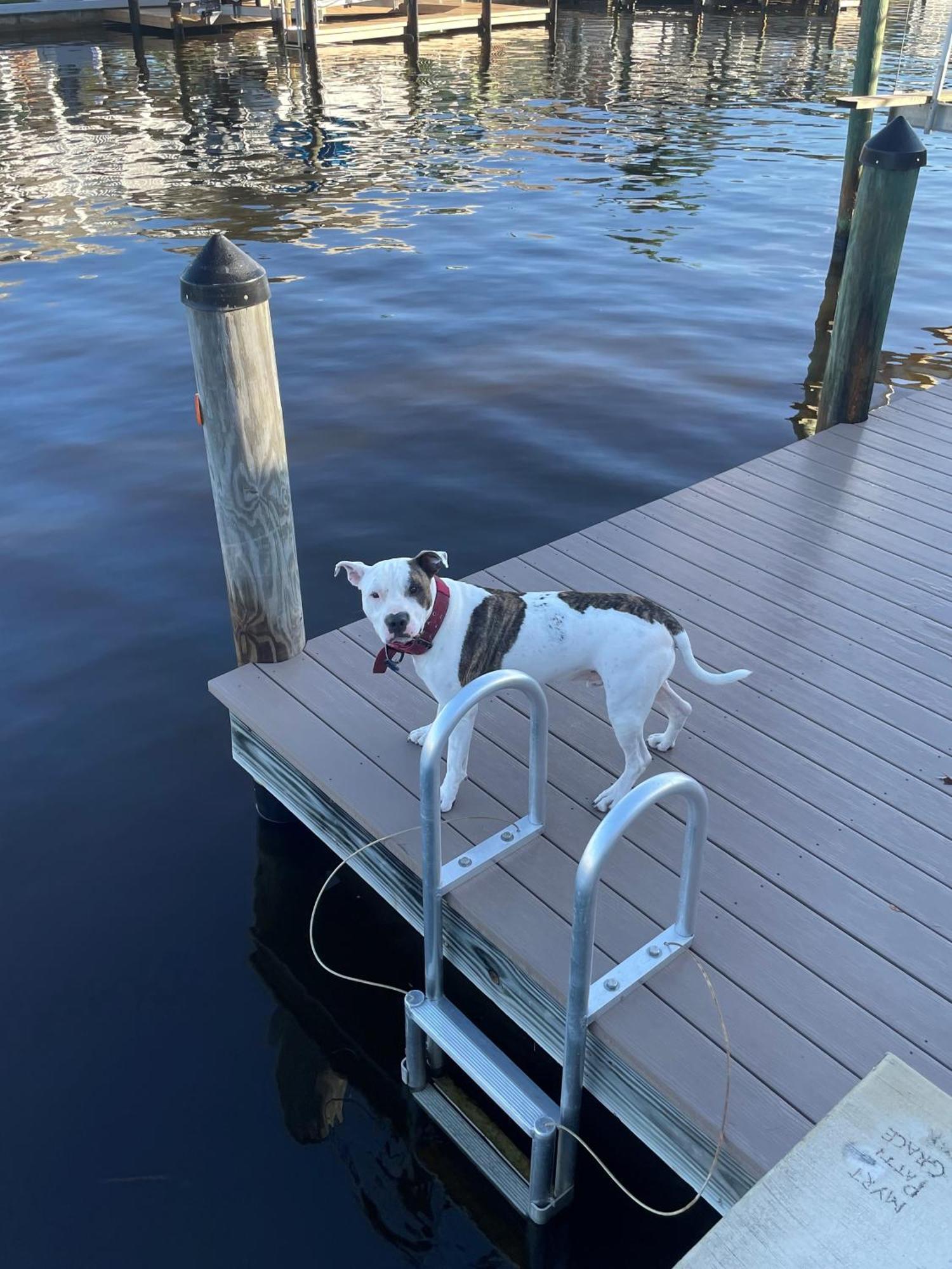 MatlachaHot Tub And Dock Gilligan'S On The Island别墅 外观 照片
